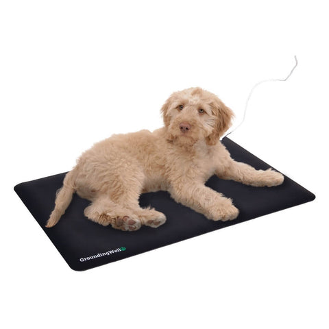 EarthingZen™ Pet Mat